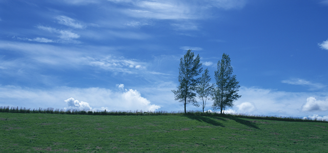 セブンイレブンのアルバイト情報